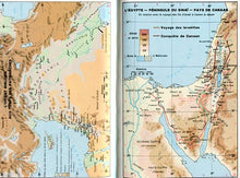 Charger l'image dans la galerie, Bible Darby,rigide, grand, format, brun