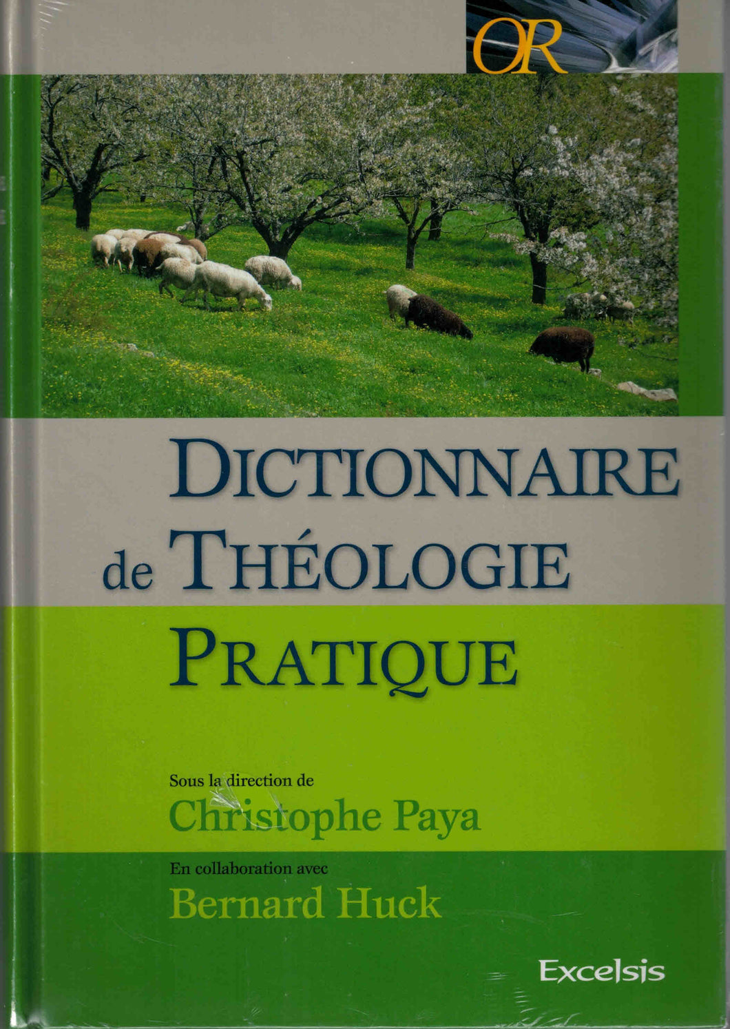 Dictionnaire de Théologie Pratique